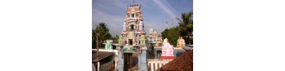 மேல் படப்பை
